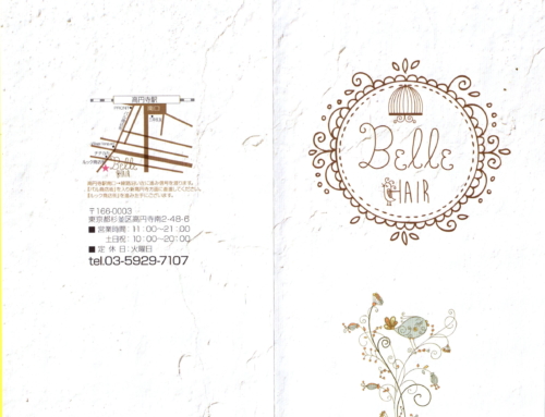 Belle hair design